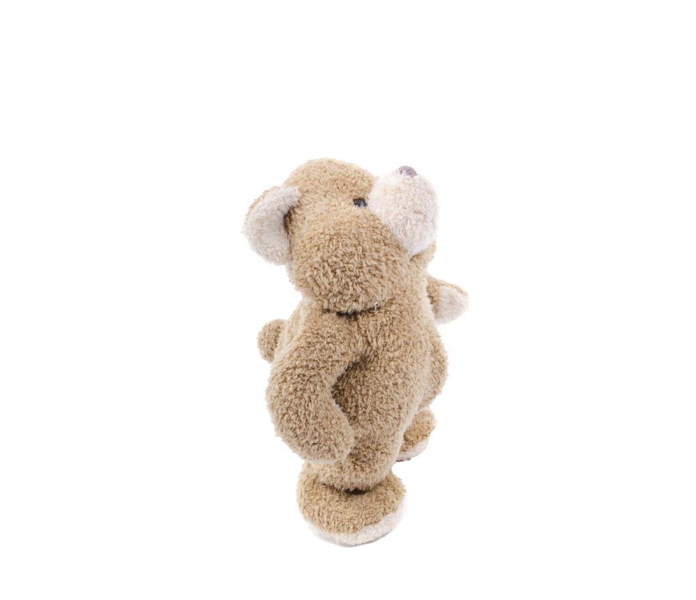 Soft Cuddly Bear