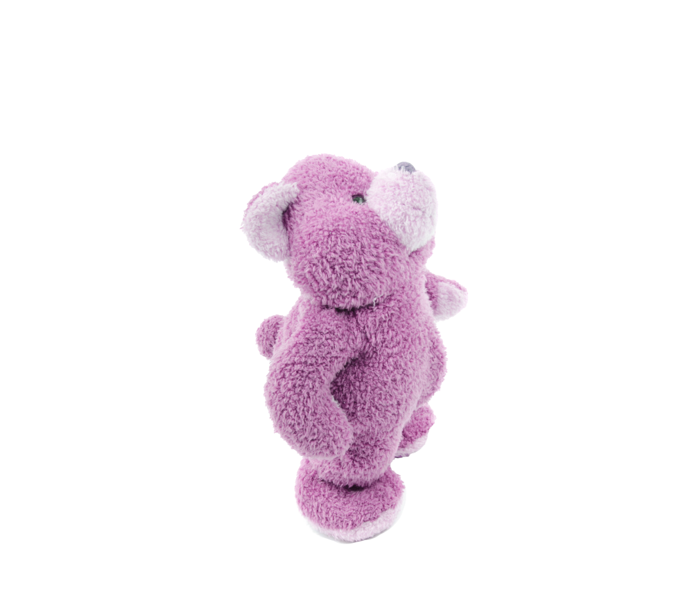 Soft Cuddly Bear