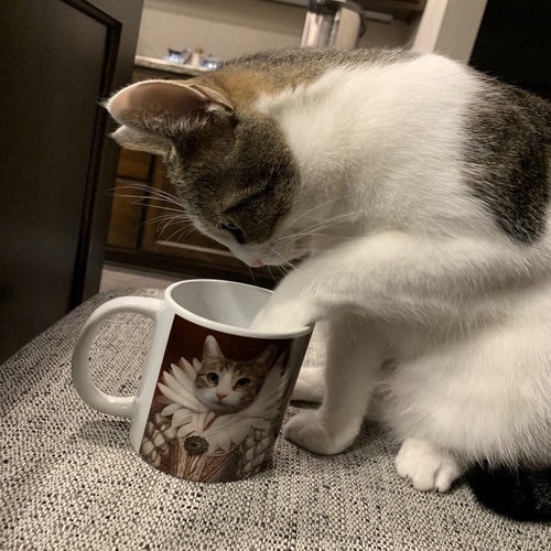 queen custom pet portrait mug