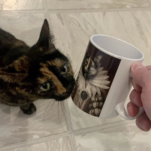 queen custom pet portrait mug