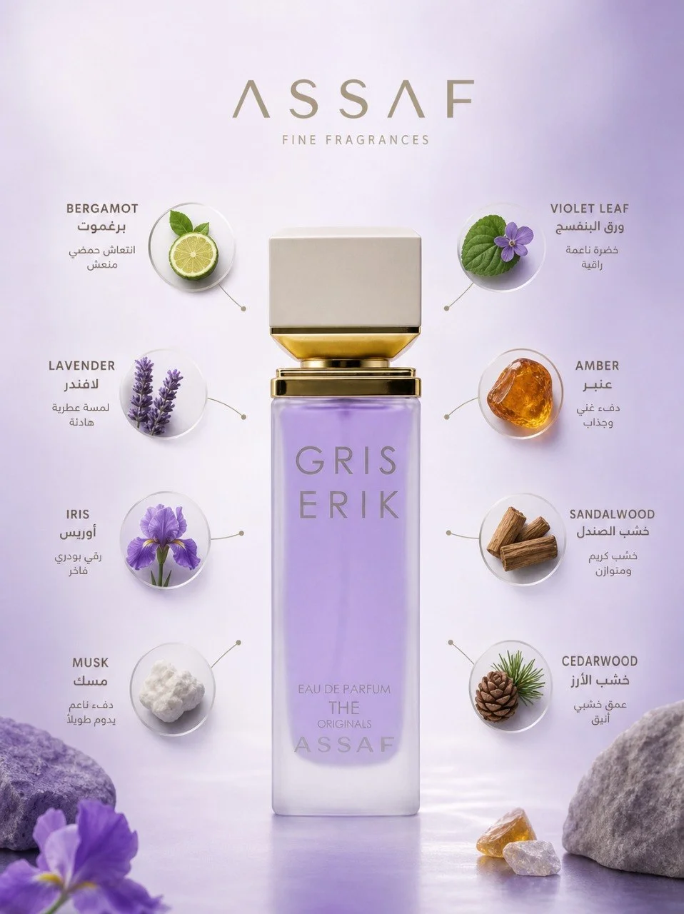 Assaf Gris Erik Eau de Parfum 100ML