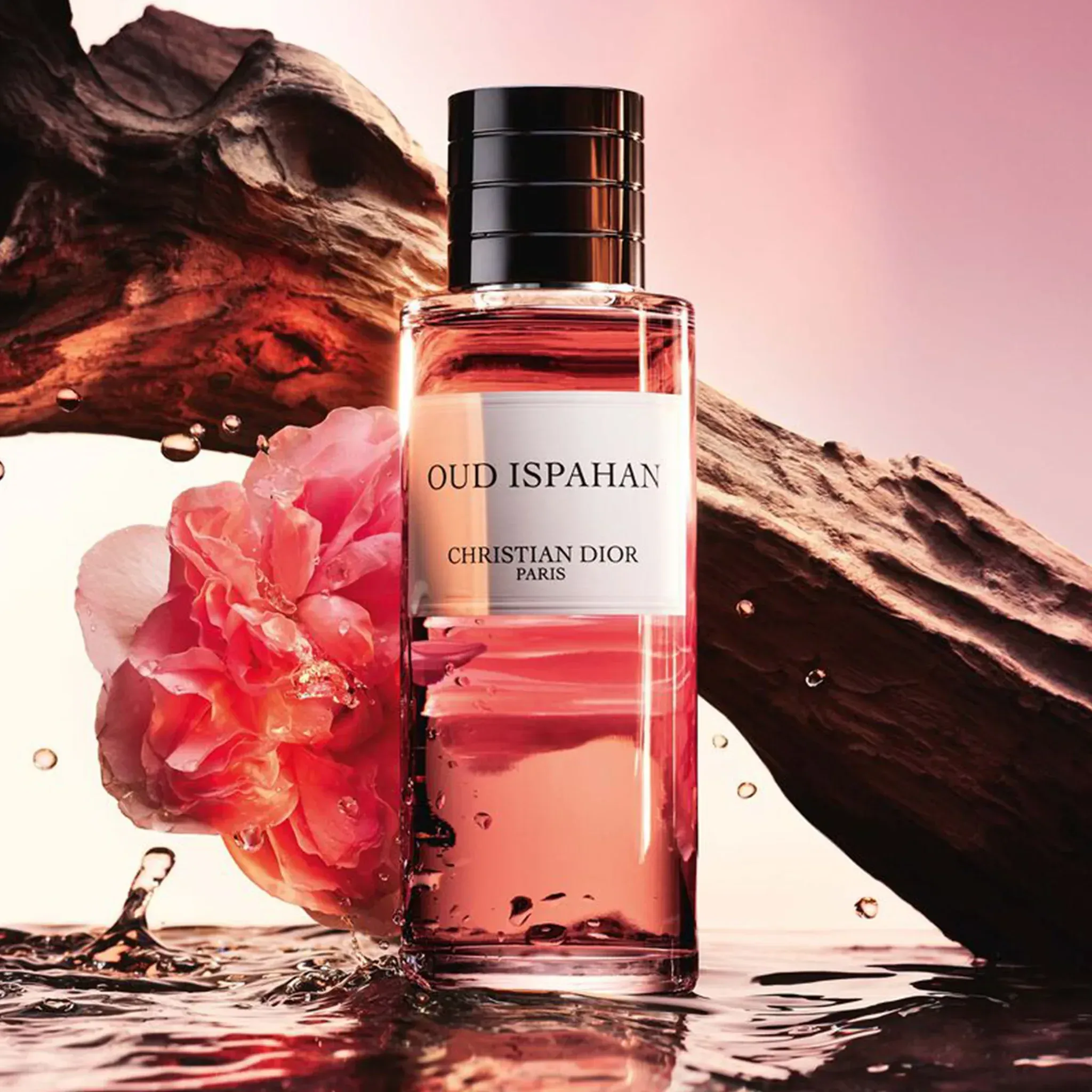 Maison Christian Dior Oud Ispahan Eau de Parfum 125ML