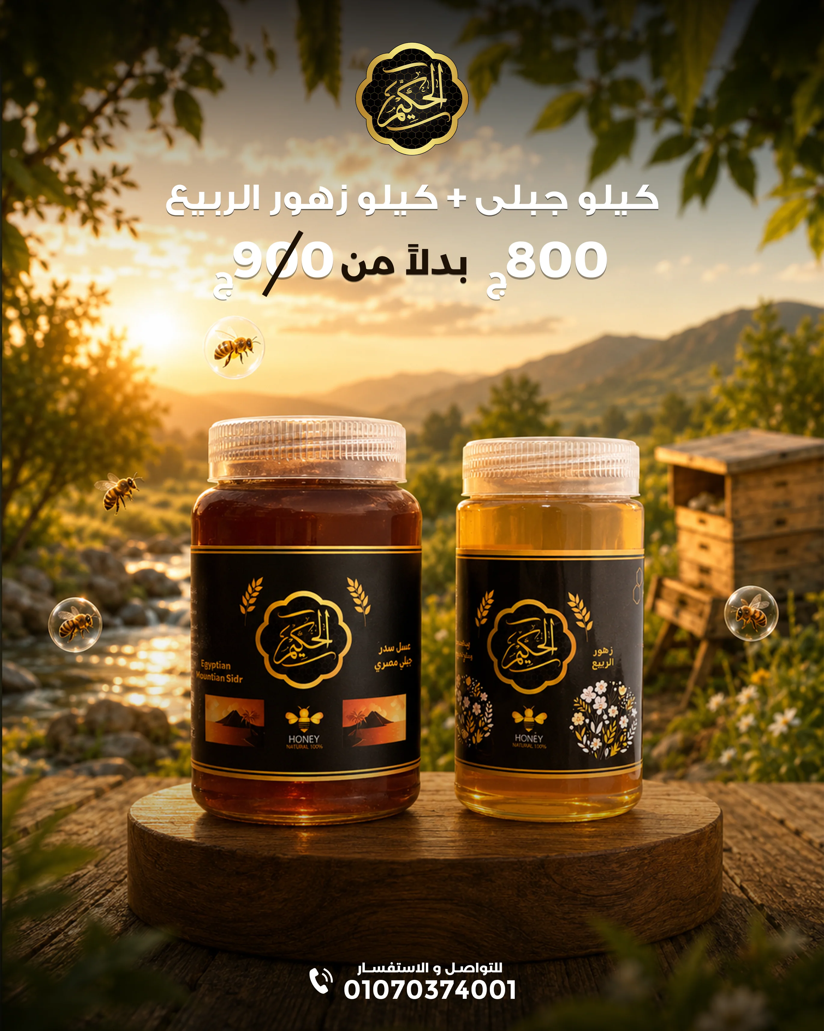 عرض الباور 