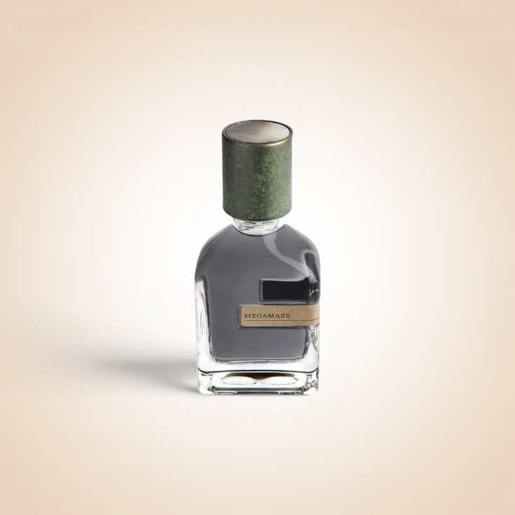 عطر ميجامير للرجال – Megamare