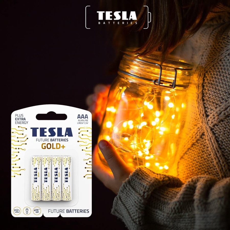 TESLA Gold Alkaline Battery AA LR6, Pencil Battery, Blister Pack of 4