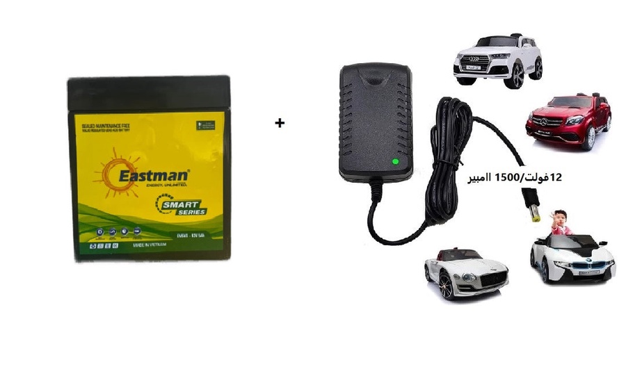 ESTIMATE 12v/5A battery +12 volt charger