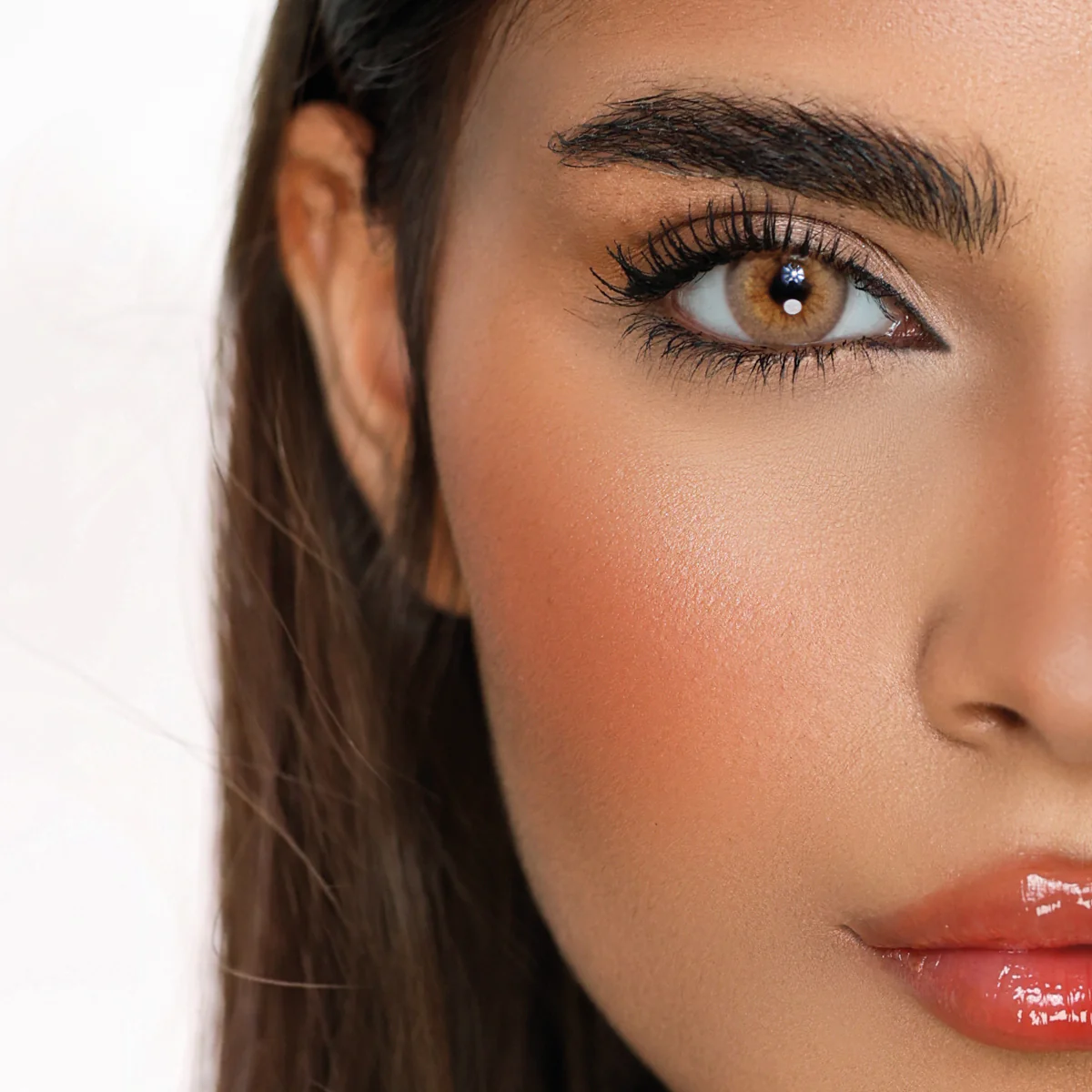 DESIO TENDER HAZEL
