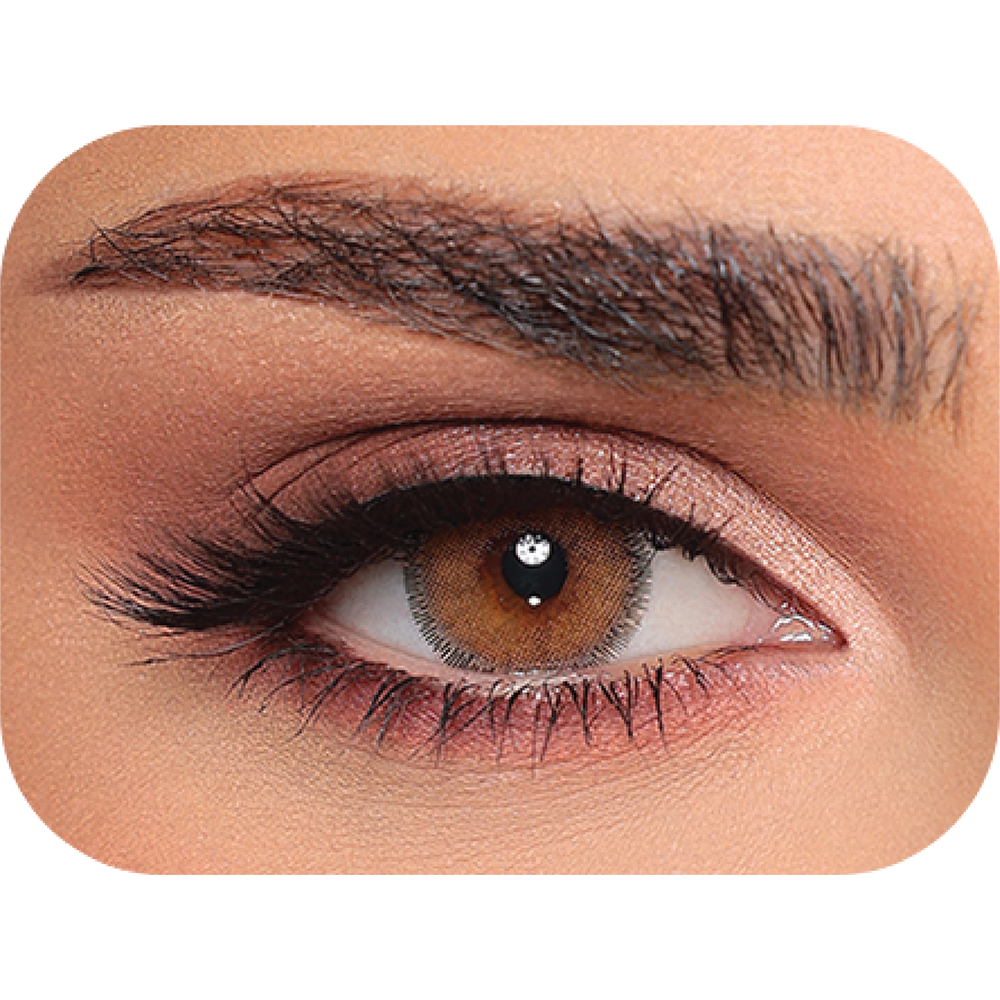 LUMINOUS Latin Brown