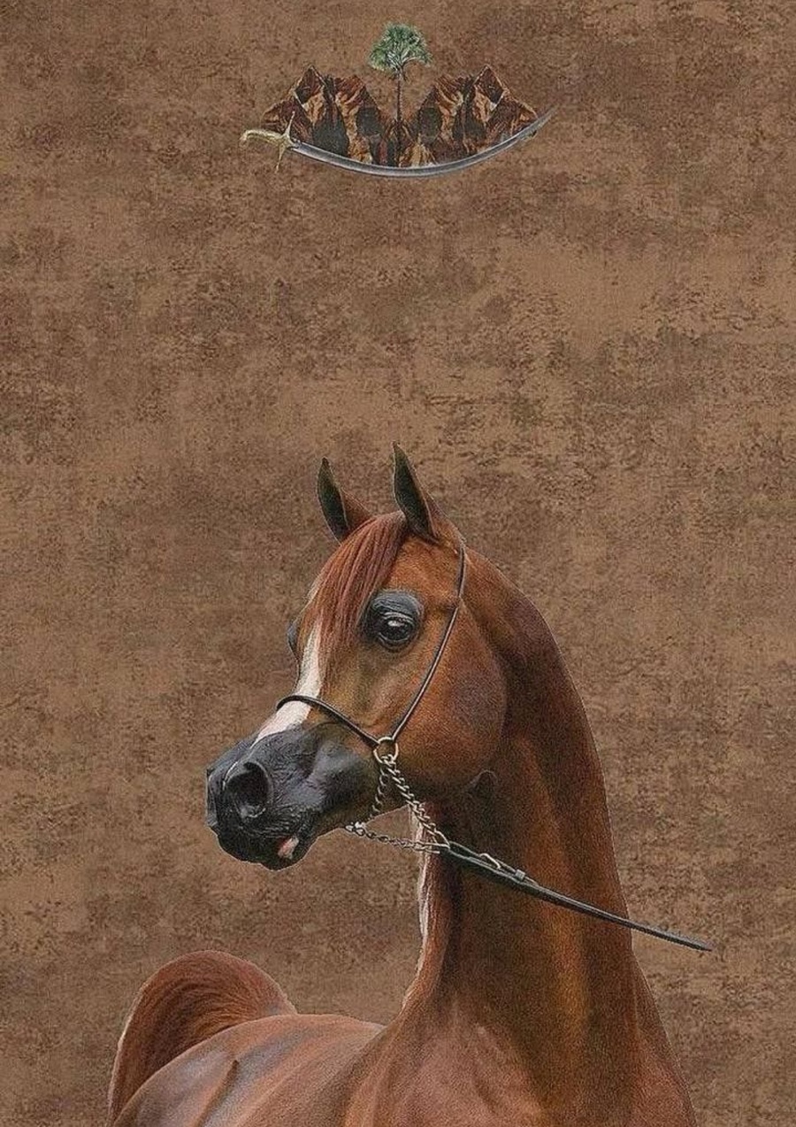 104 Poster