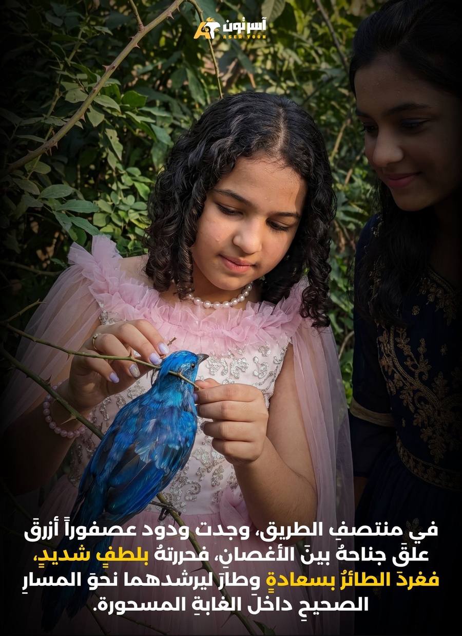 ودود والأميرة فُلّة