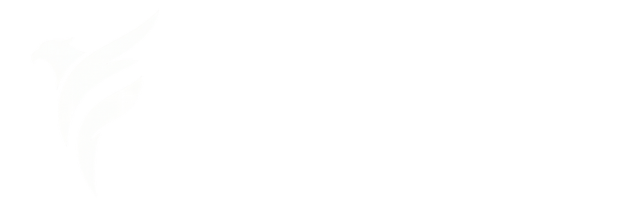 Falcon Go | متجرك الأول للاشتراكات الرقمية والترفيهية في الوطن العربي