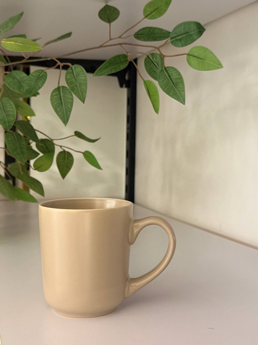  مجموعة أكواب "باليت المود" (Mood Palette Mugs)