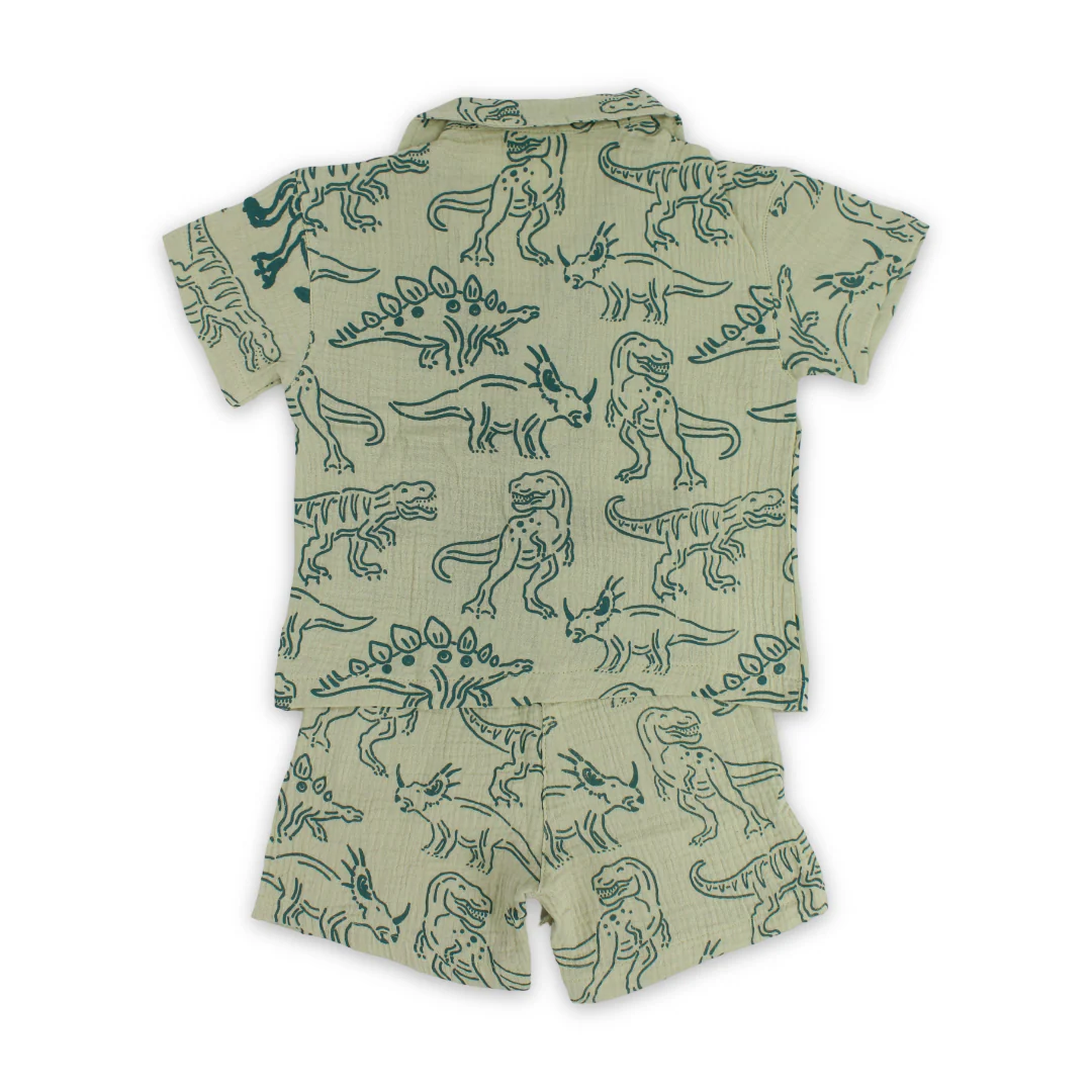 Boys Cotton Pajama – Pistachio with Dino Print