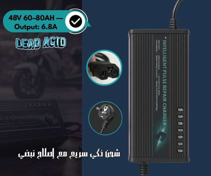 BATTERY CHARGER 48VOLT-60AH