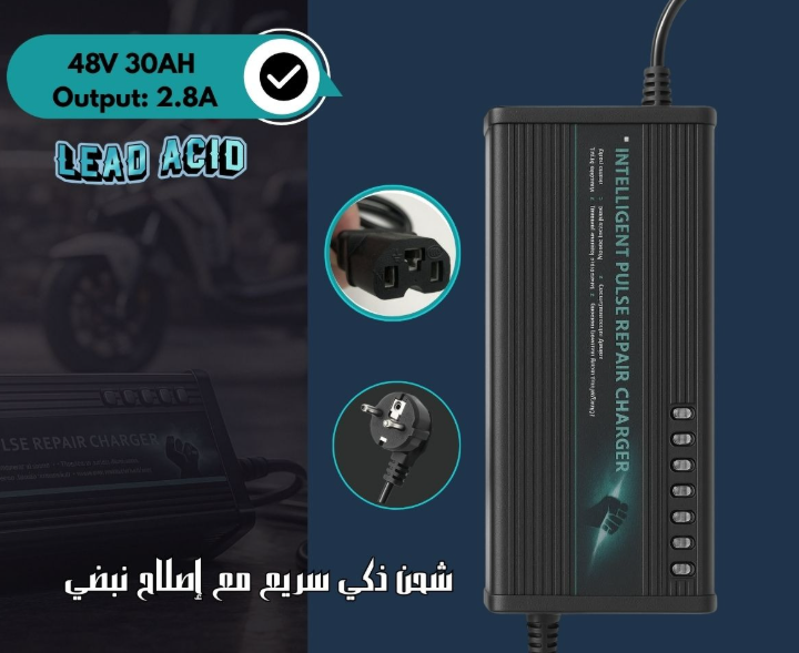 BATTERY CHARGER 48VOLT-30AH