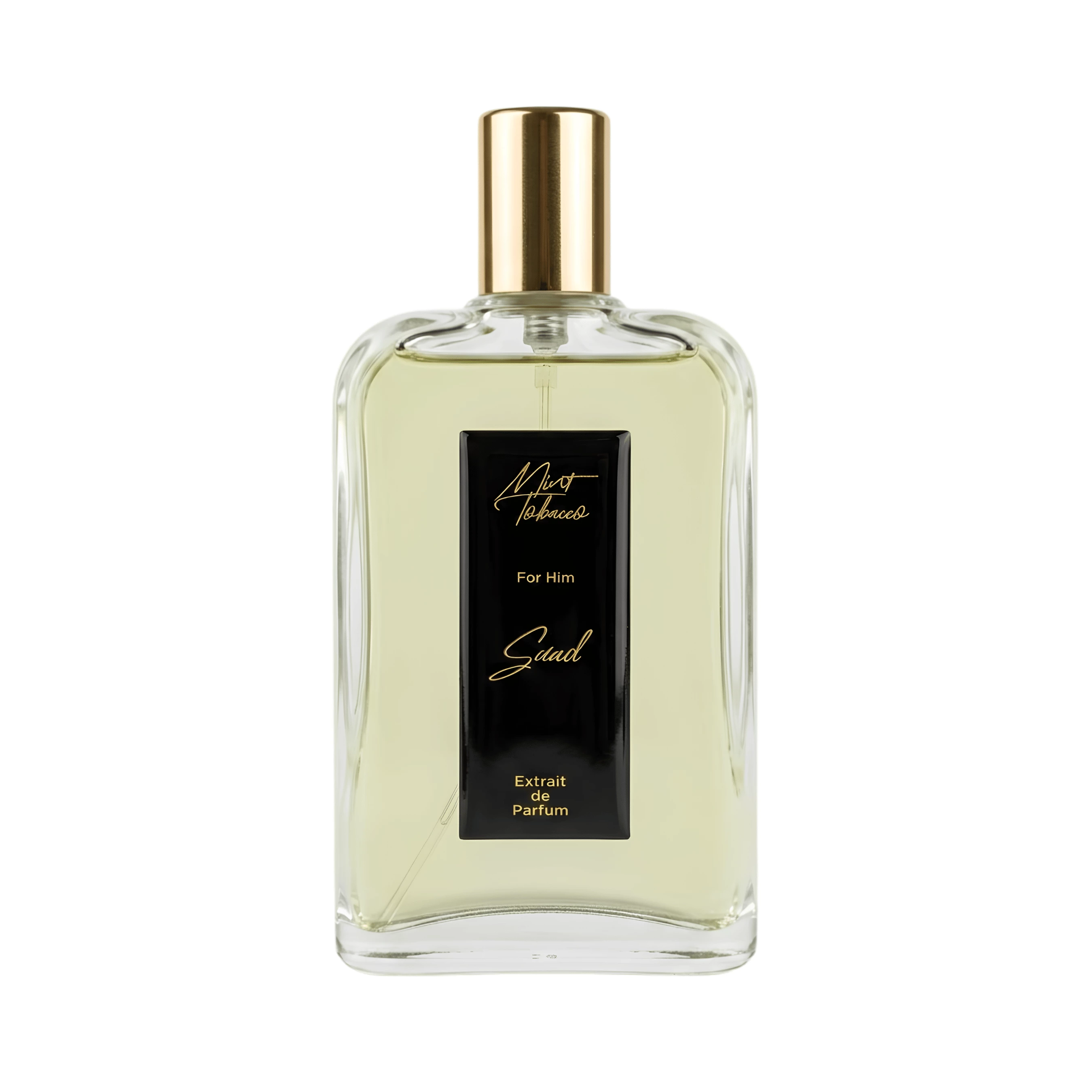 Mint Tobacco 100 ML