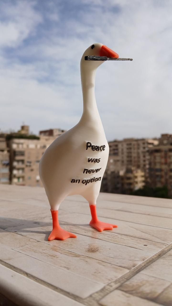 Peace was never an option goose