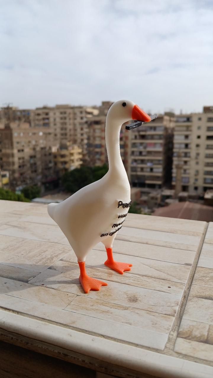 Peace was never an option goose