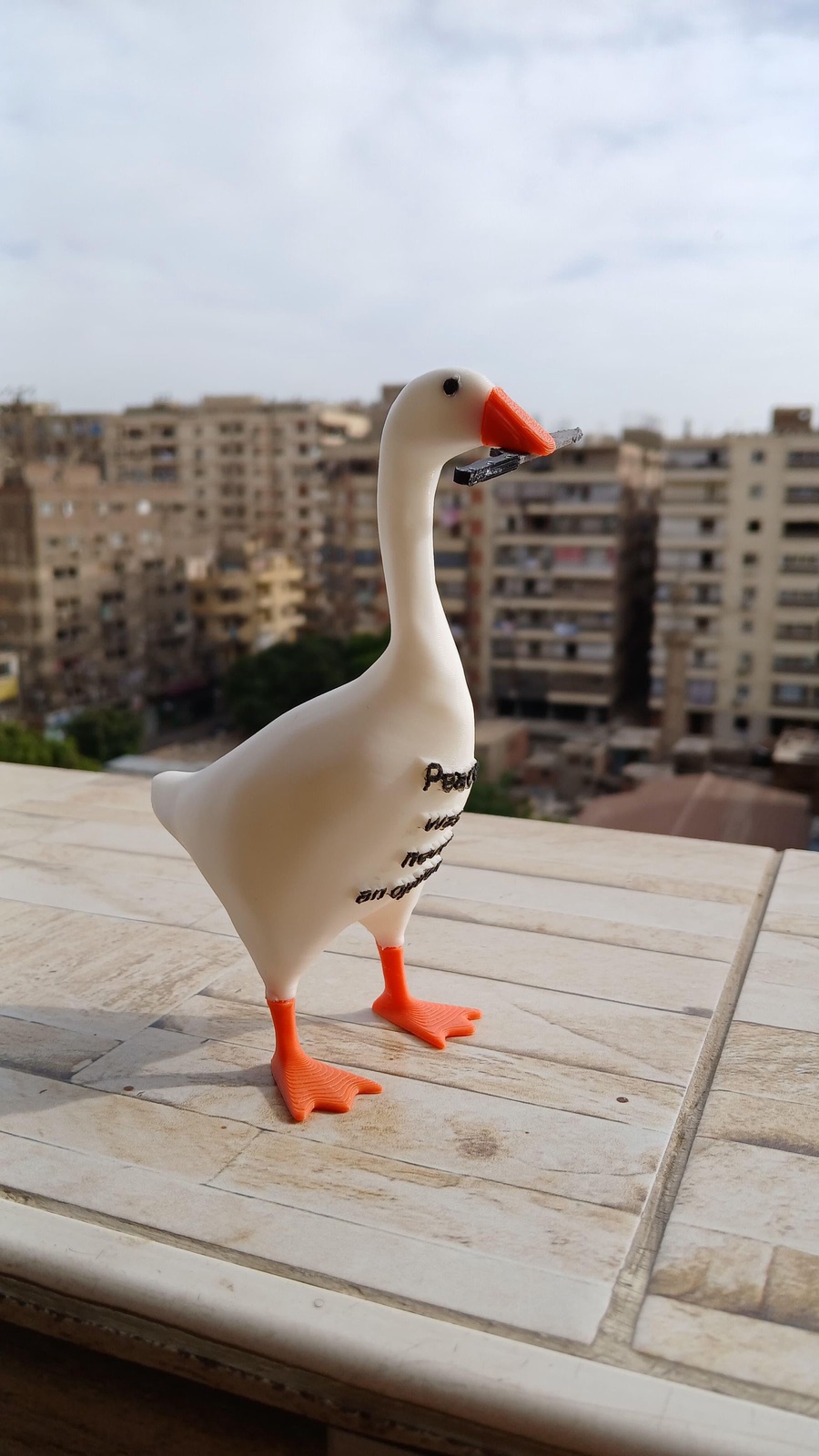Peace was never an option goose