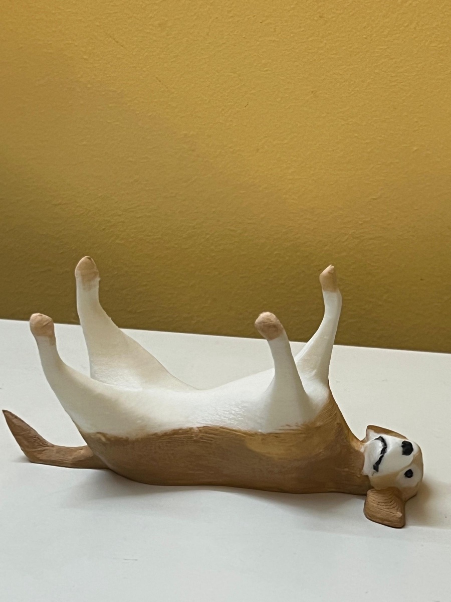 Dog Rings Holder