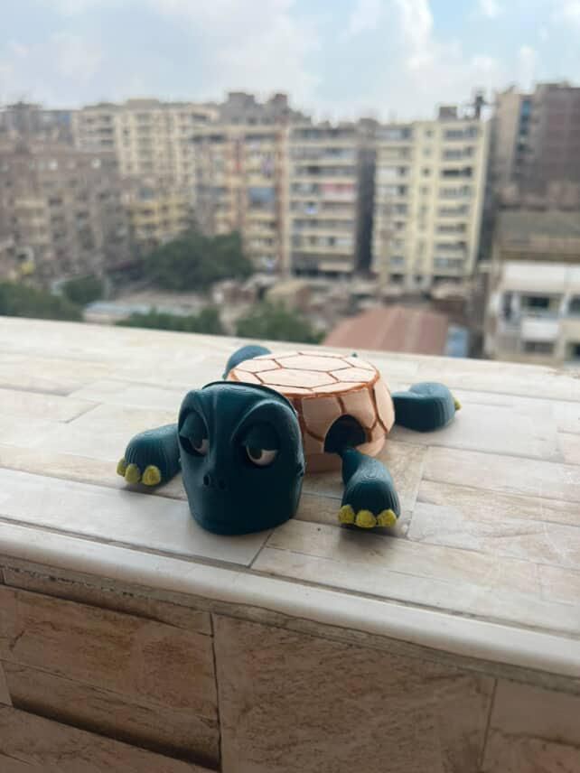 Screaming Turtle Coaster
