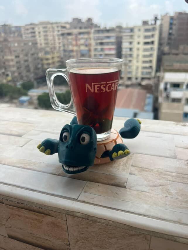Screaming Turtle Coaster