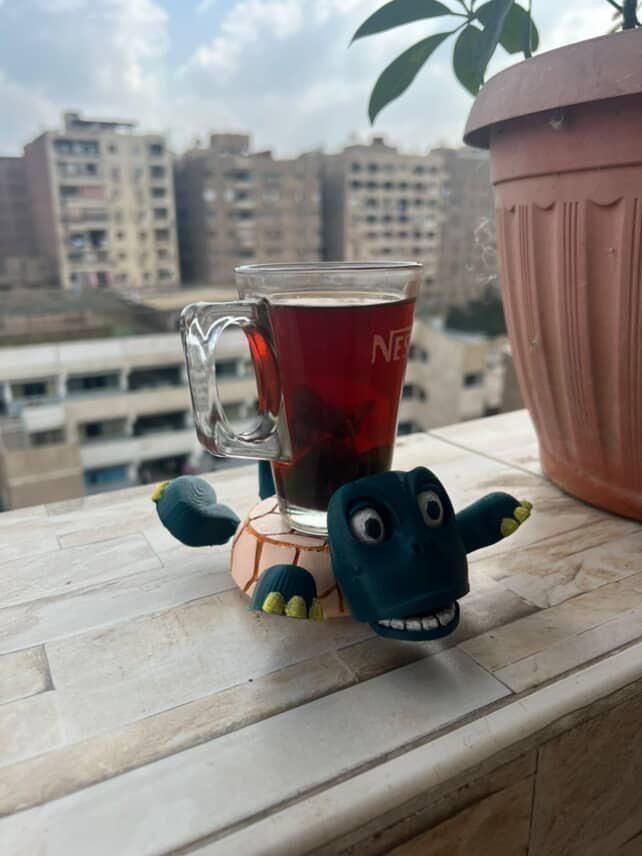 Screaming Turtle Coaster