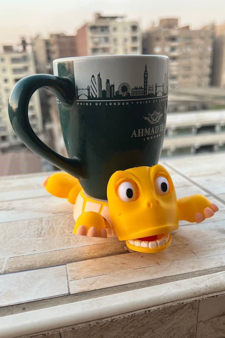 Screaming Turtle Coaster