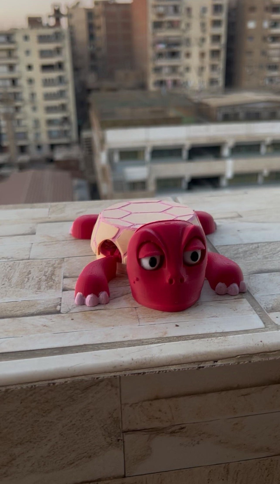 Screaming Turtle Coaster