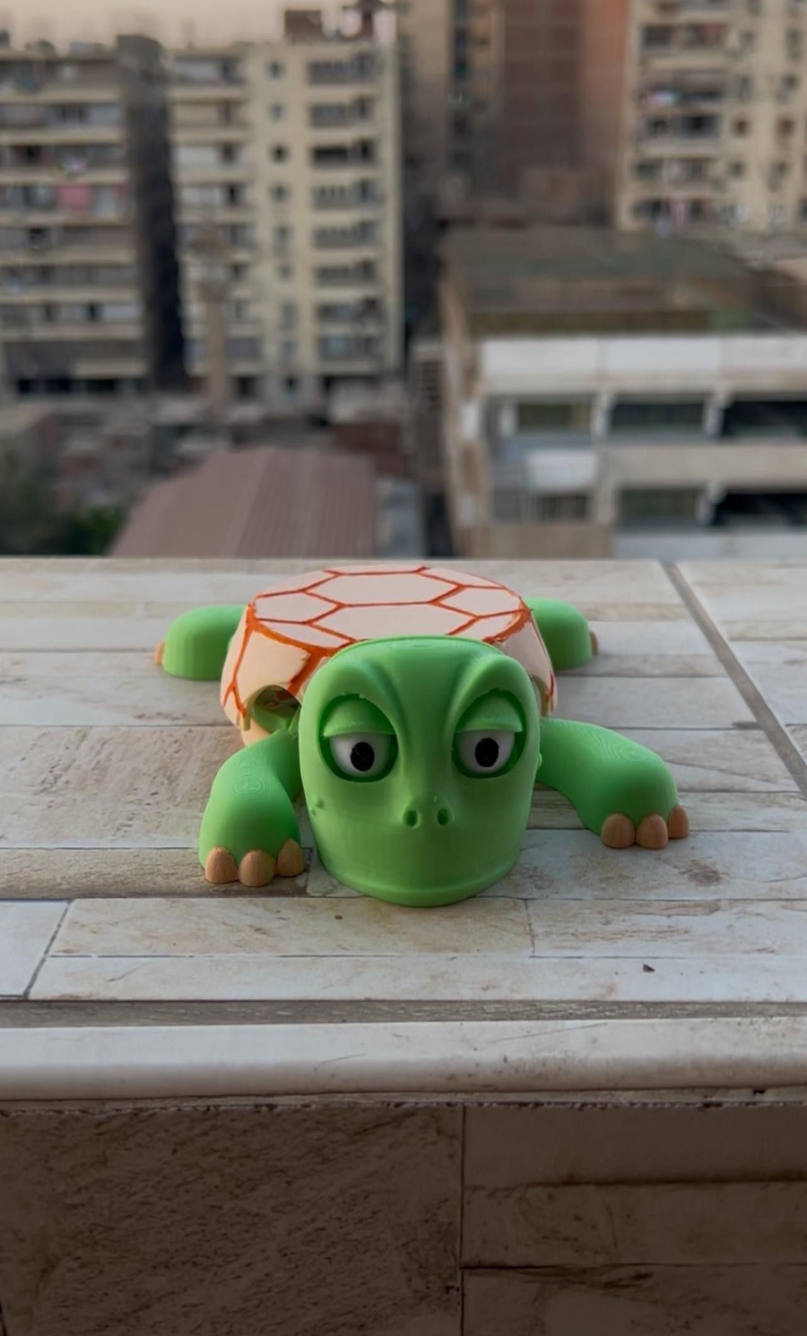 Screaming Turtle Coaster