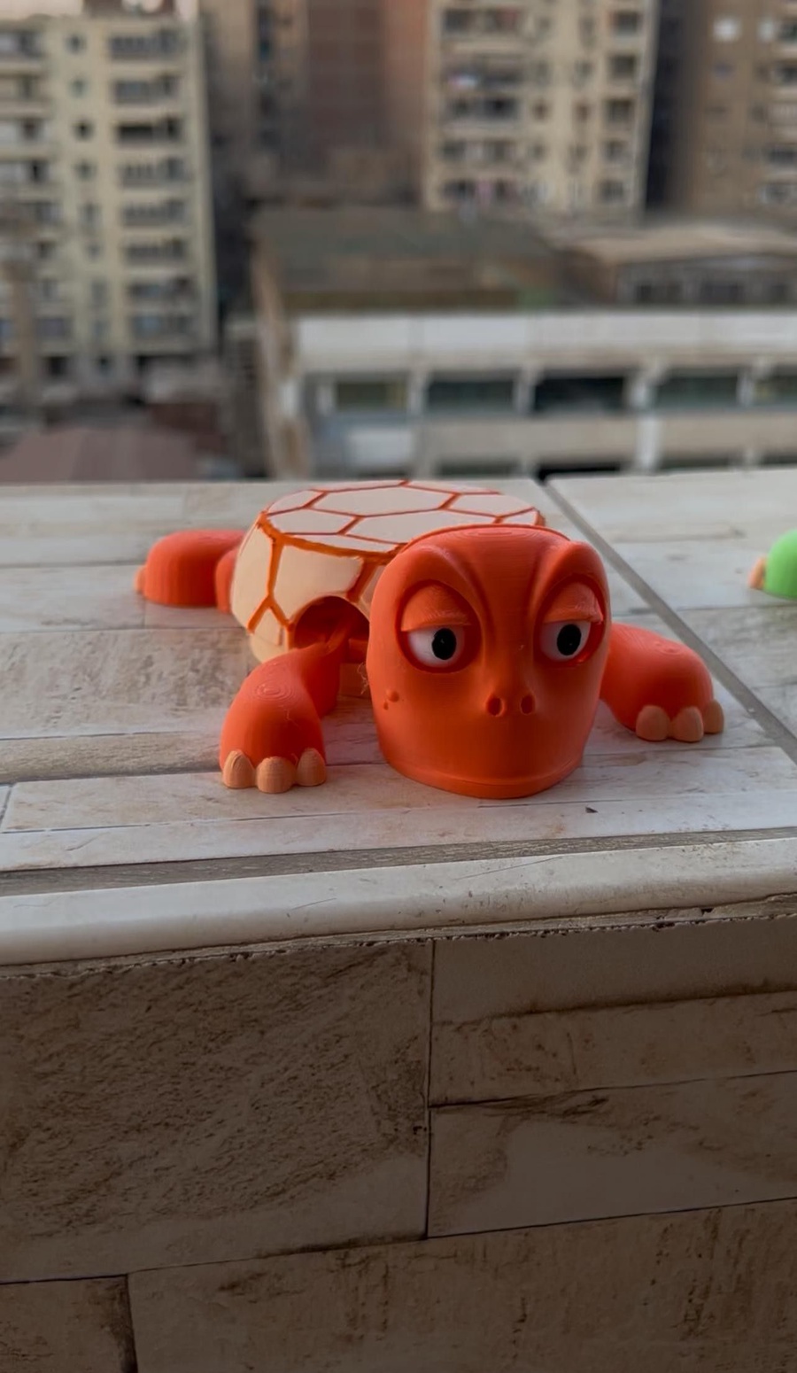 Screaming Turtle Coaster