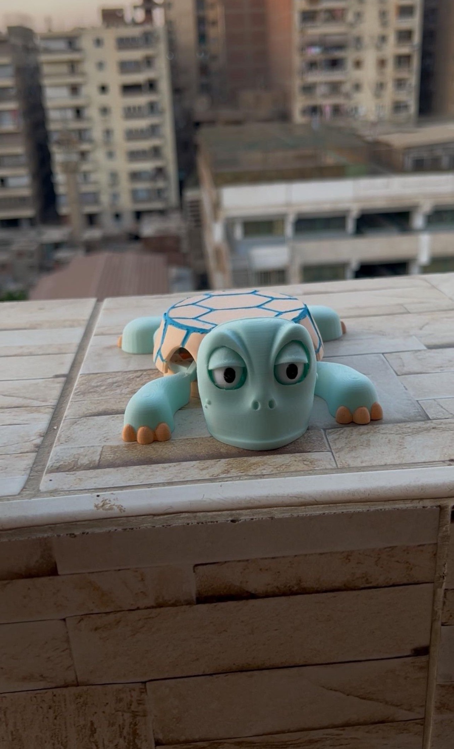 Screaming Turtle Coaster