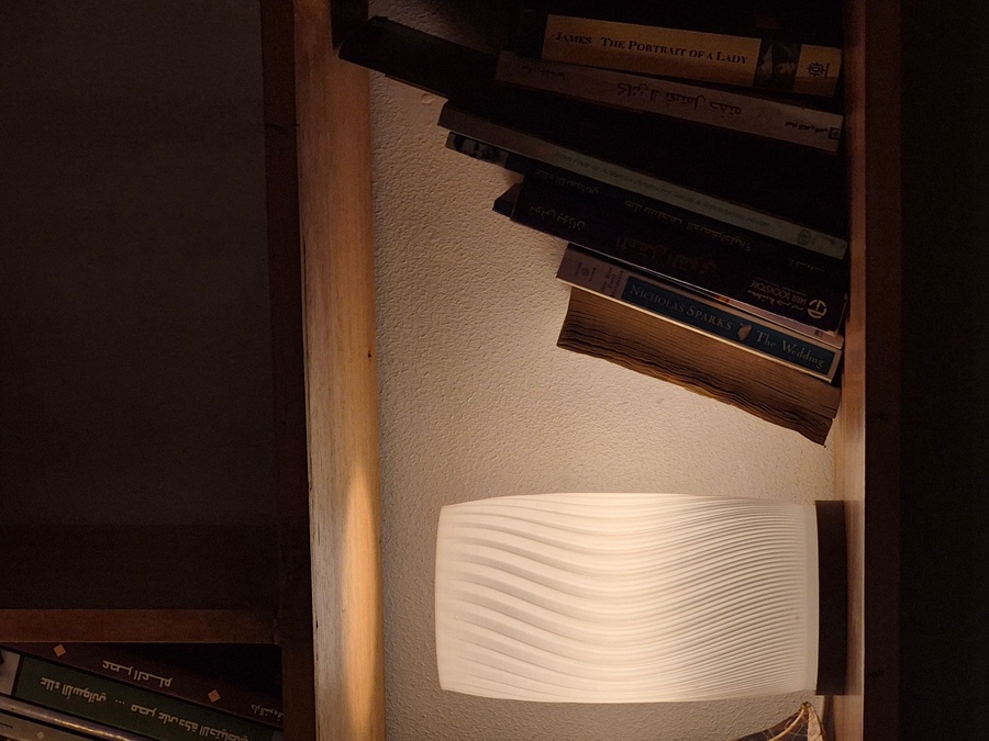 Organic Flow Desk Lamp