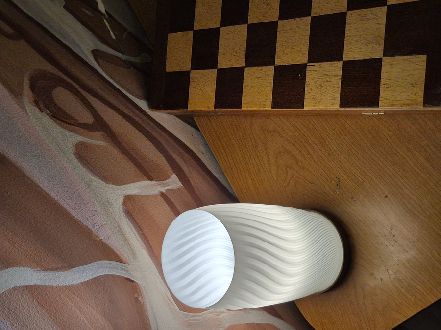 Organic Flow Desk Lamp