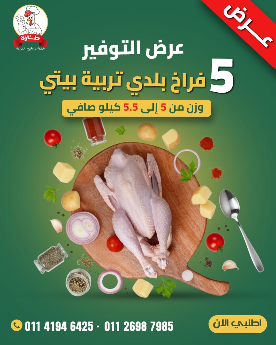 عرض 5 فراخ بلدي تربية بيتي (عرض التوفير)