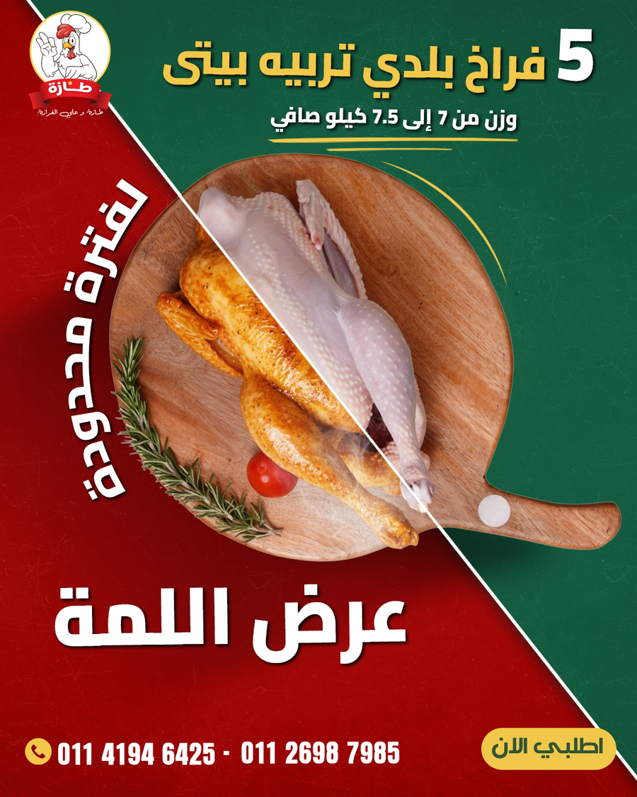 عرض 5 فراخ بلدي تربية بيتي (عرض اللمة)