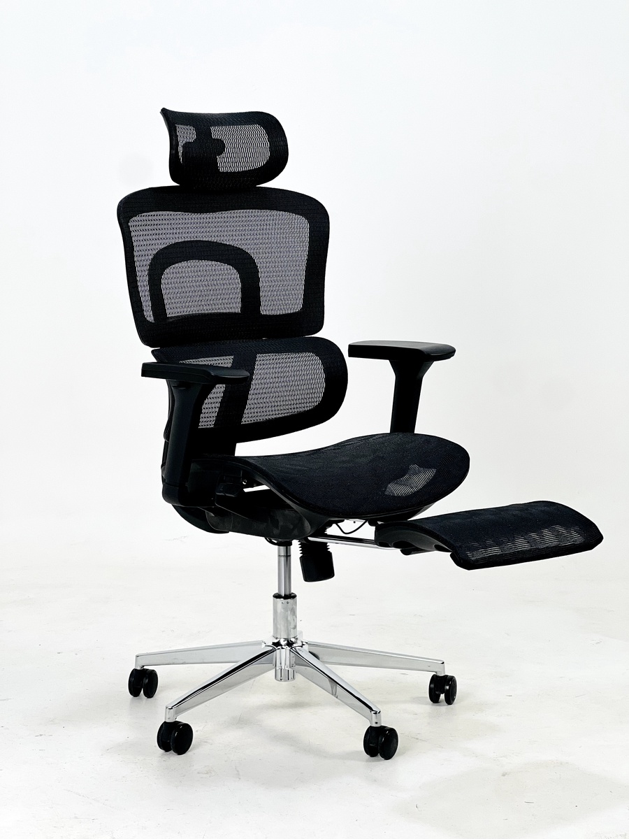 Ergonomic Chair with Leg Rest