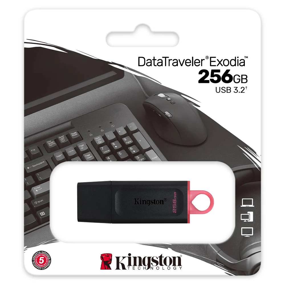 فلاش ميموري كينجستون 256 جيجابايت- Kingstone Flash Memory 256GB (ضمان 12 شهر)