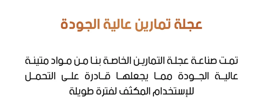 عجلة تمرين البطن ذات العودة التلقائية في متجر عمان 