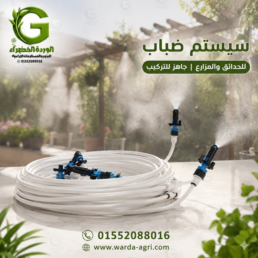 https://files.easy-orders.net/1786795955115304696.png