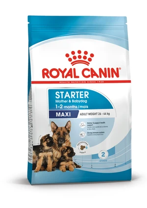 Royal Canin Maxi Starter Mother and Babydog (4 KG) - Dry food for large puppies - Adult weight between 26 and 44 KG. Mother during gestation and lactation - Weaning puppies up to 2 months