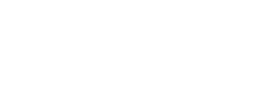 Speed-Horse