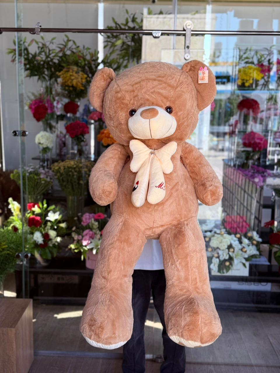Brownie teddy bear