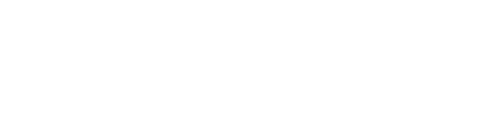 Wafi & Dutti Shoes