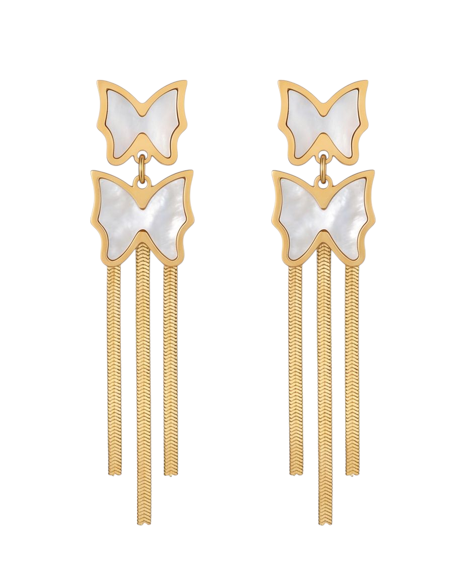 Rawnq Stainless Steel Double Butterfly Drop Earrings for Women