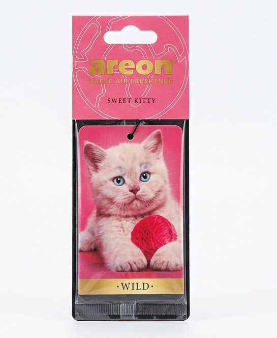 SWEET KITTY WILD