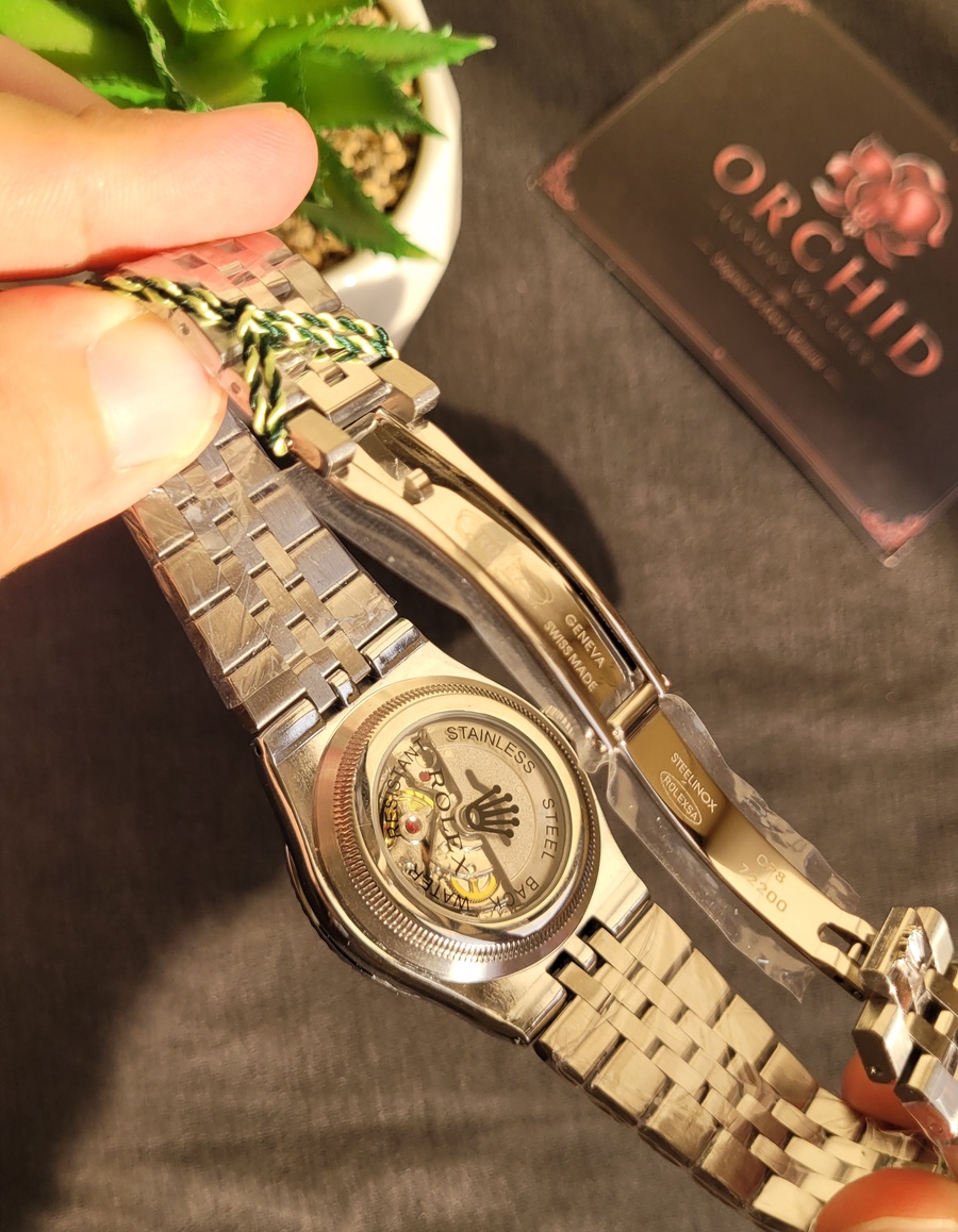 Rolex Land dweller silver 