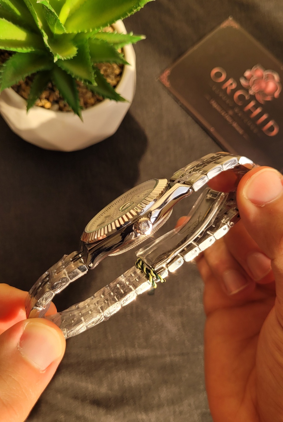 Rolex Land dweller silver 