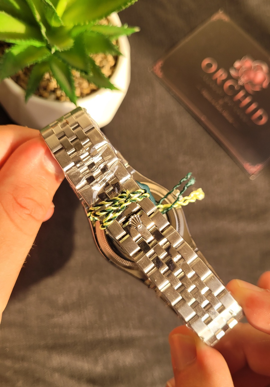 Rolex Land dweller silver 
