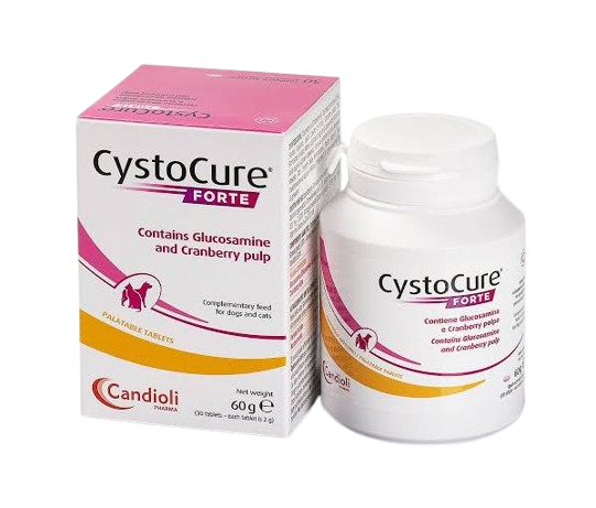  Cystocure Forte Tablet